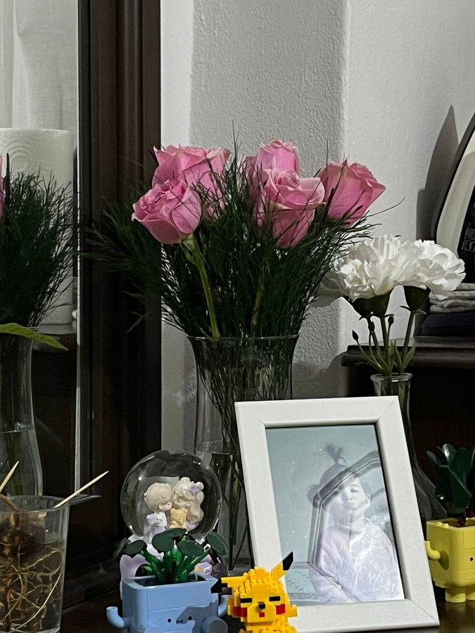 pembe çiçekler